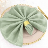 Napkin, Sage Green, 20''x20''